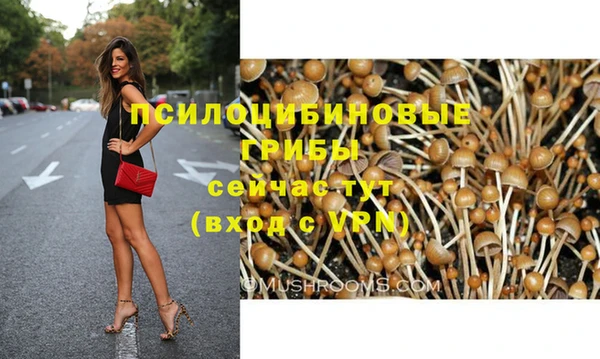 PSILOCYBIN Белоозёрский