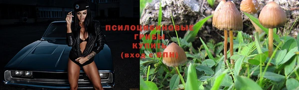 мяу мяу мука Балахна