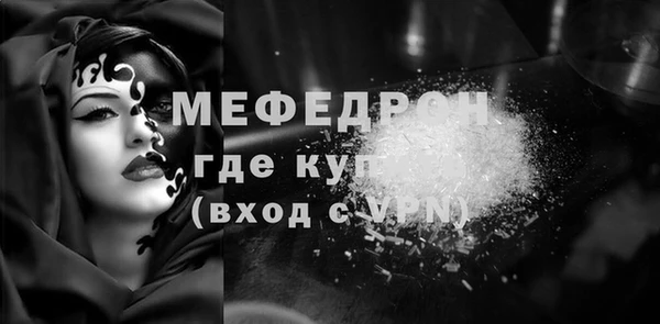 spice Богородицк