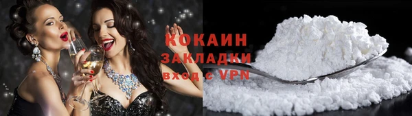 spice Богородицк