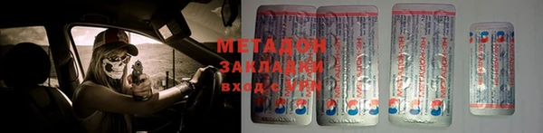 прущие грибы Ростов