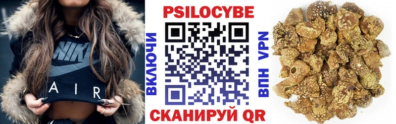 как найти закладки  Боровичи  Псилоцибиновые грибы Cubensis 